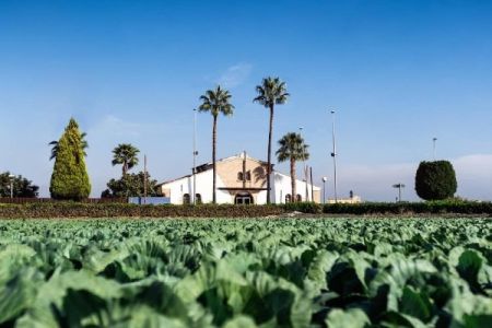 La huerta de Valence et ses cultures agricoles